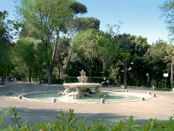 罗马附近喷泉上的鸽子图片下载