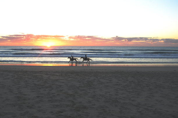 日出骑马图片下载