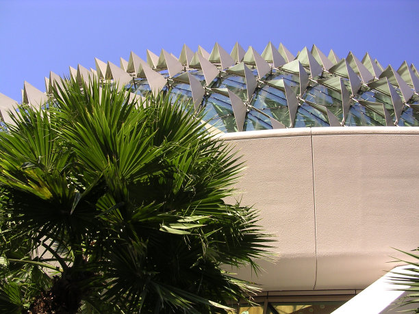 斯派克图片下载