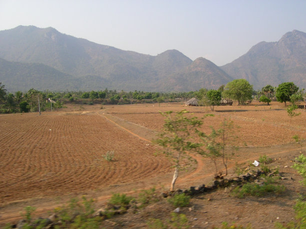 大自然给了我什么?图片下载