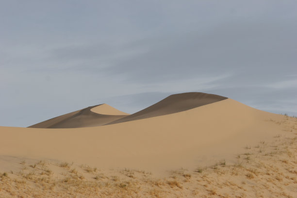 沙丘曲线图片下载