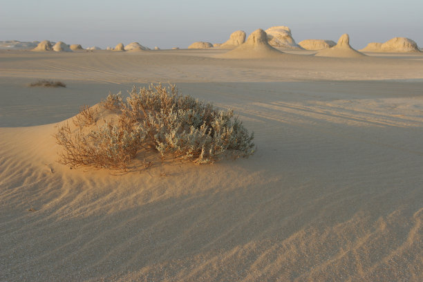白色沙漠图片下载
