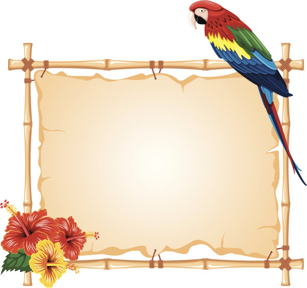 鹦鹉竹架图片下载