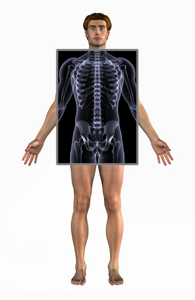 有x射线的人-包括剪切路径图片下载