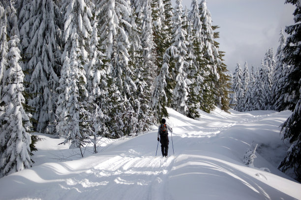 越野滑雪图片下载