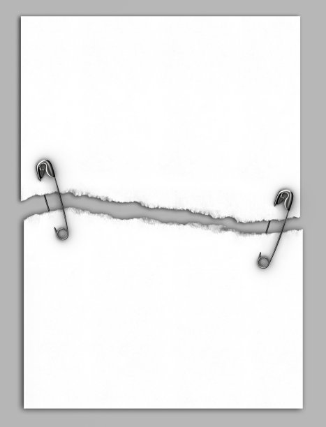 把白皮书图片下载