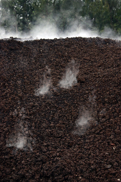 堆肥发酵图片下载