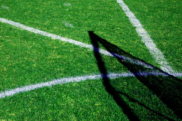 曲棍球目标阴影图片下载