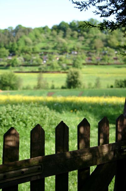 不讲道理的图片下载