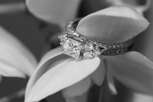 订婚戒指2图片下载