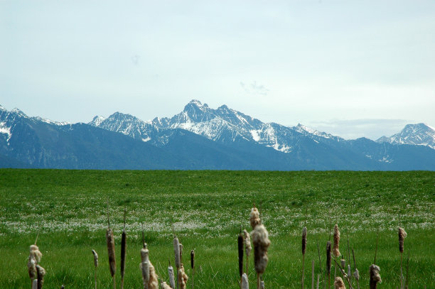 蒙大拿图片下载
