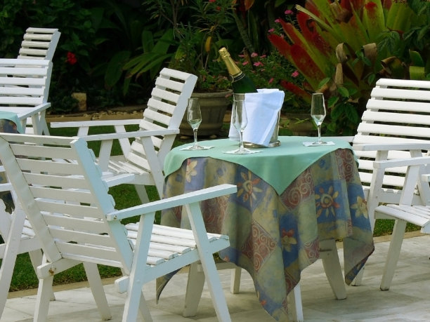 热带的餐厅图片下载