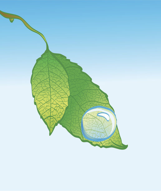 弹簧片图片下载