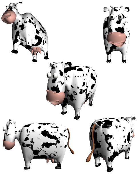 滑稽的奶牛孤立在白色图片下载