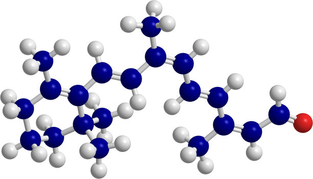 维他命A图片下载