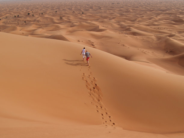 走向未知图片下载