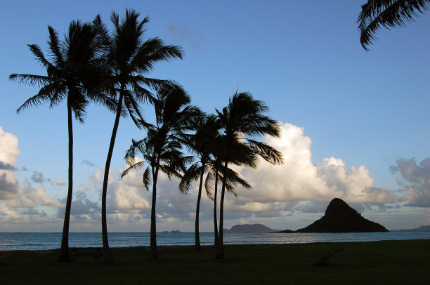 Chinamans帽子图片下载