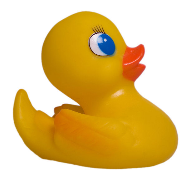 橡皮鸭图片下载