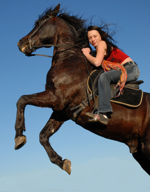 女孩和种马图片下载