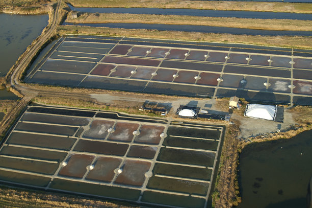 马拉伊斯·萨兰茨图片下载