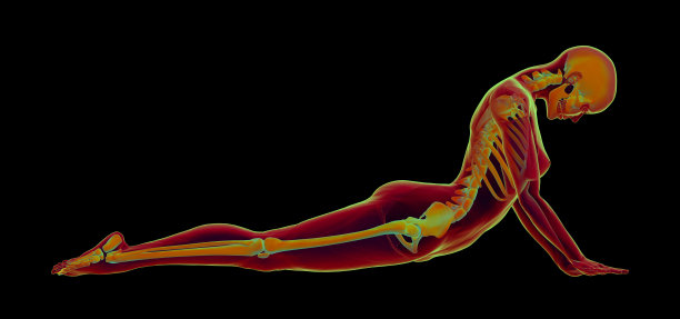 女性形象俯卧。图片下载