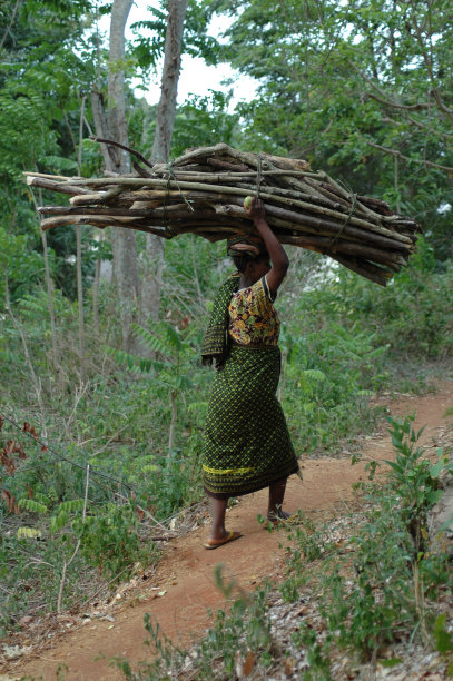 非洲的女人图片下载