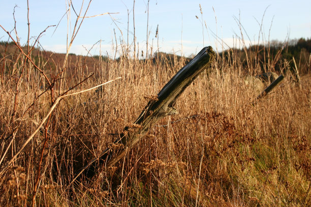 下降的栅栏图片下载