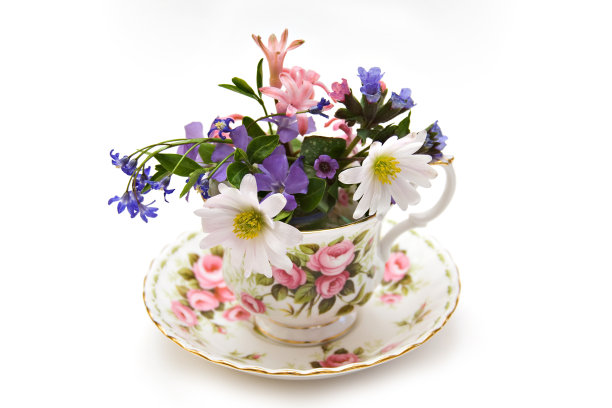 杯子的花图片下载