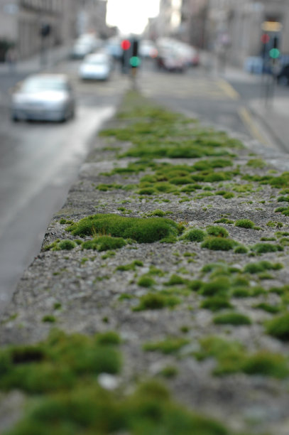 城市莫斯图片下载