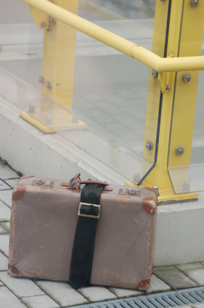 valise的图片下载