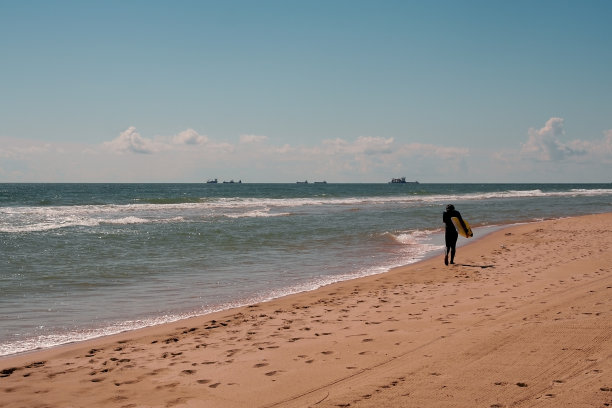 没有波图片下载