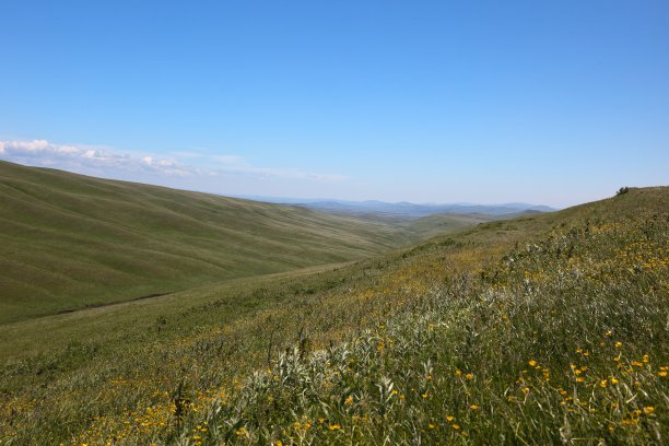 David Gareja附近的荒芜景观。格鲁吉亚。图片下载