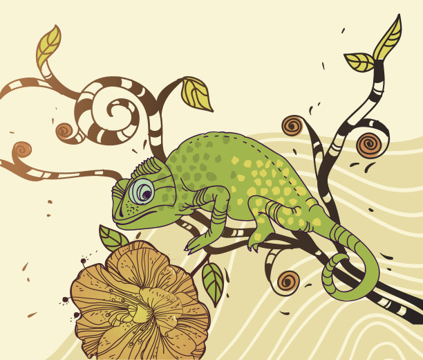 坐在树上的变色龙图片下载