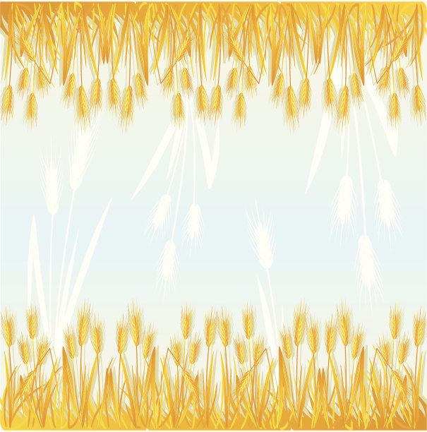 金色小麦抽象背景素材图片