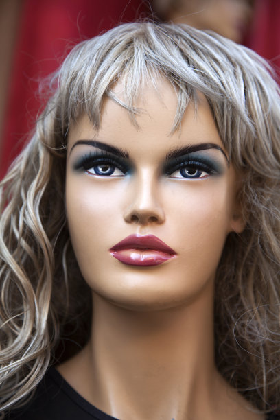 人体模型排成一排图片下载