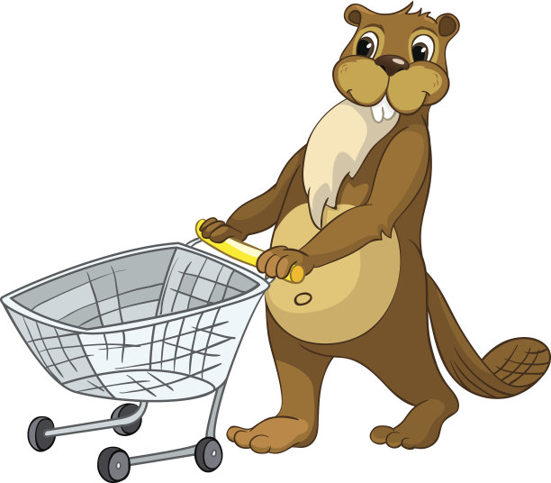 有趣的海狸图片下载