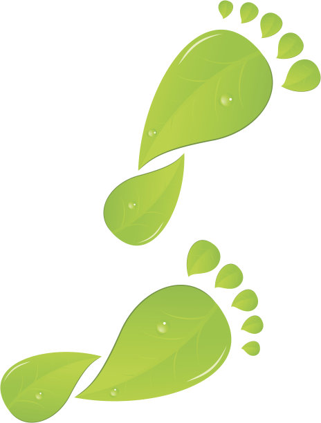 绿叶的脚印，水滴的痕迹，白底的痕迹图片下载