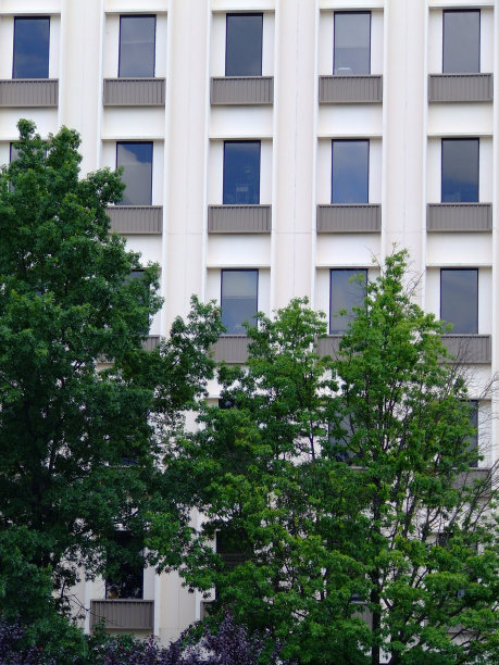 城市性质图片下载