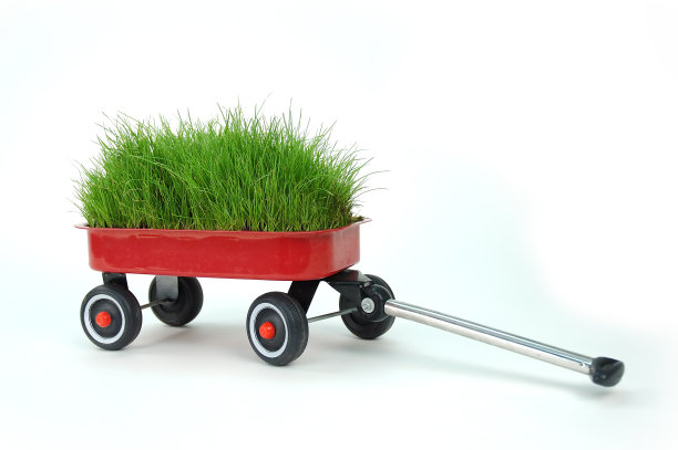 白色背景下的玩具特写镜头图片下载