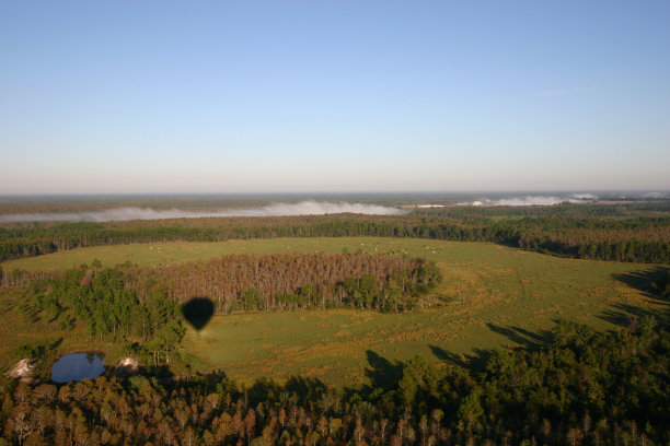 在佛罗里达的农田上空乘坐气球图片下载
