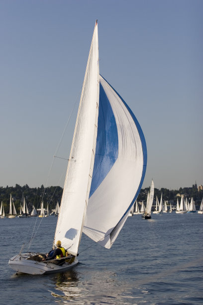 赛舟会中的小帆船图片下载