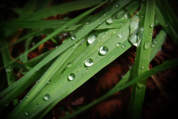 三个雨滴图片下载