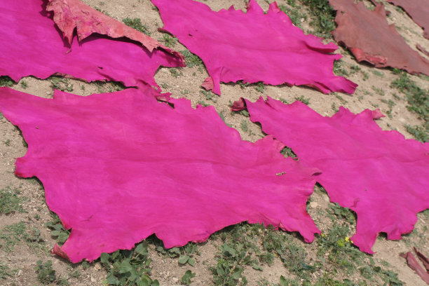 非斯古城的粉红色皮革正在干燥图片下载