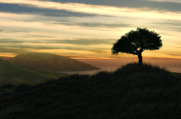 美丽的景观图片下载