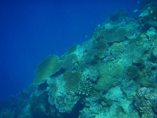 海底世界图片下载