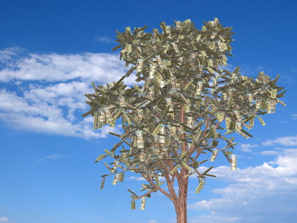 金钱树渲染图片下载