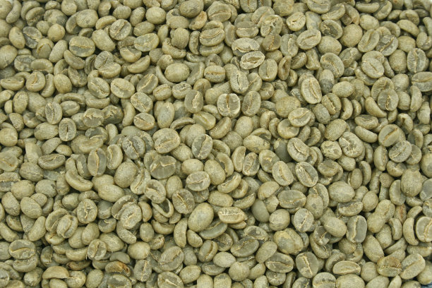 绿咖啡3图片下载