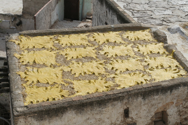 非斯市的皮革屋顶图片下载