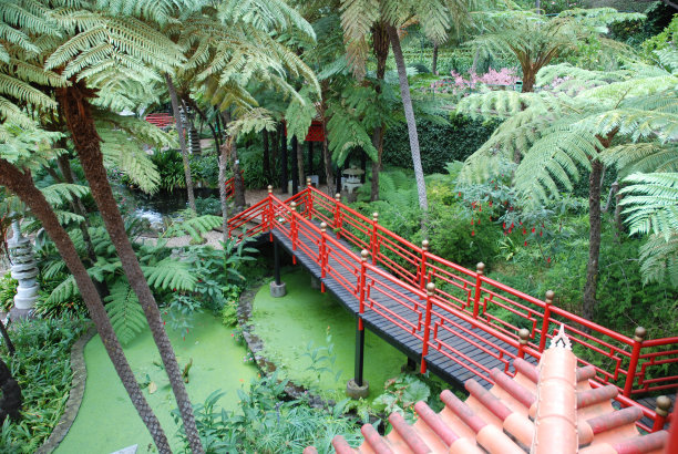 日式花园2图片下载