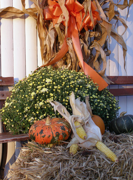 秋天的装饰品图片下载